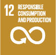 E SDG Icons 12